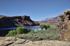 008 Lees Ferry overlook