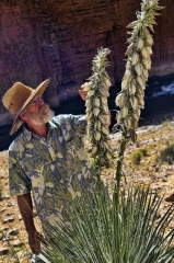 023 Roger admiring agave