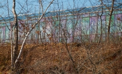 polarizing-greenhouse-windows