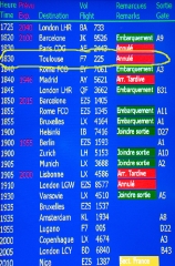 Geneva flight status 2