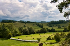 sunlit field in southern France