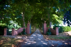 gateway to Le Vigne_1