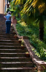 stairs from garden