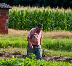 the gardener