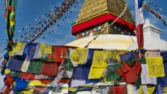 at-the-great-stupa