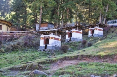 Phobjikha 05