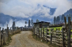 Phobjikha main road