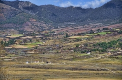 Phobjikha monastery