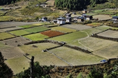 entering Phobjikha Valley