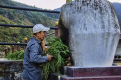 morning incense at Trongsa