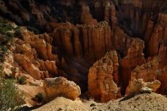 13bryce-at-sunrise