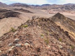 IMG_0996