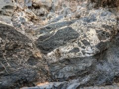 IMG_1031