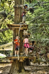 204kids on the zipline_