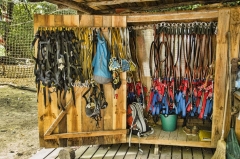 205zipline equipment_