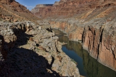 looking-back-upstream