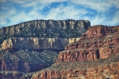 186south-rim-treeline_