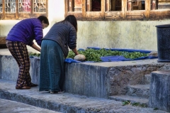 drying produce in Haa