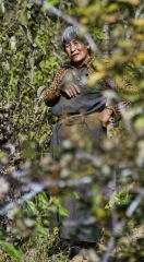 farmer en route to Yangtho Goemba