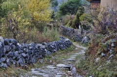 path to Lechuna Lodge 3