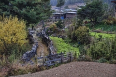 path to Lechuna Lodge