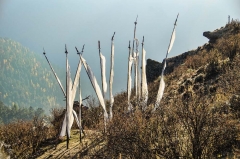 prayer flags at Chelela 2