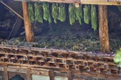 produce drying after harvest