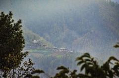 sunlit hamlet in Haa