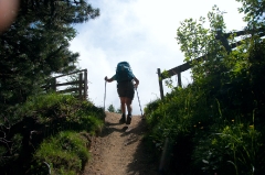 52end-of-the-long-uphill-along-alp-bovine