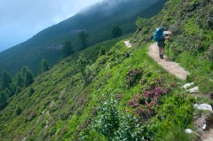 54flat-part-of-alp-bovine-trail