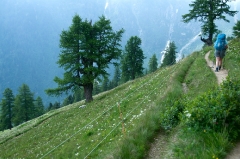 59along-the-high-pastures