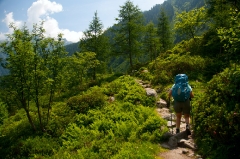 65amazingly-lush-here