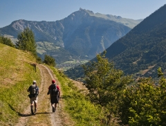 goal-in-sight-if-we-knew