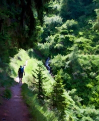 strong-hiker