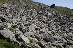 amid-rocks