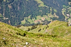 last-seen-headed-thataway