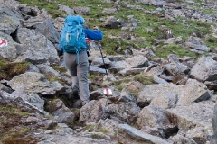 marks-but-no-path