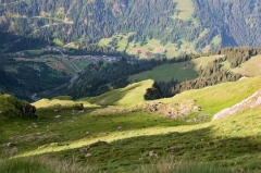 pack-rolled-out-of-sight