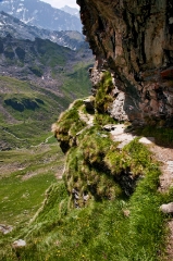 resuming-the-march_1