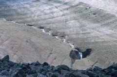 moiry-glacier-river