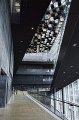 Harpa 8