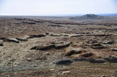 Reykjavik Peninsula field