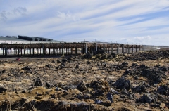 cod drying operation