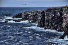 cruising the cliffs