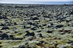 extensive lava field