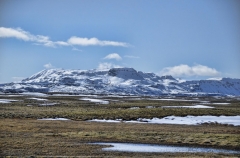 mountain and moor