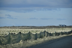 wind fence