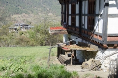 produce drying at Kencho's house