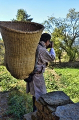 Lakey and Kencho's basket