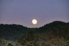 moonset in Jakar
